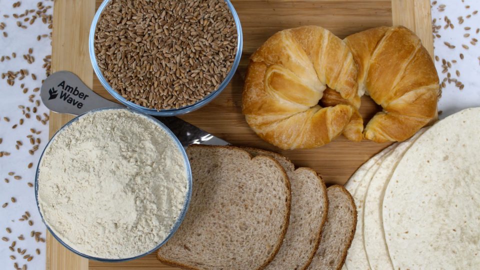 Vital Wheat Gluten in bakery products